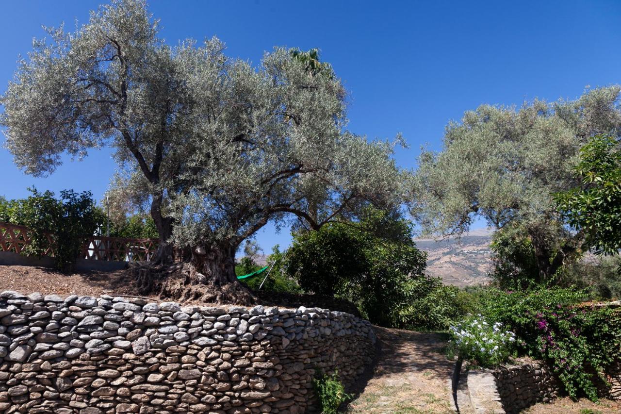 Villa Cortijo El Azahar à Orgiva Extérieur photo